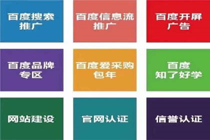 百度SEO推广公司案例精选：揭秘关键词优化策略